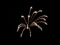 323-IMG_6479