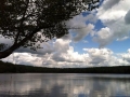 Lake with Rope Swing